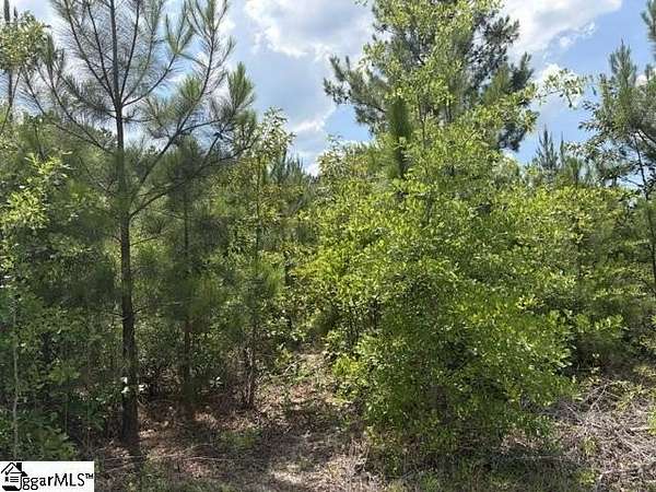 34.5 Acres of Recreational Land for Sale in Swansea, South Carolina