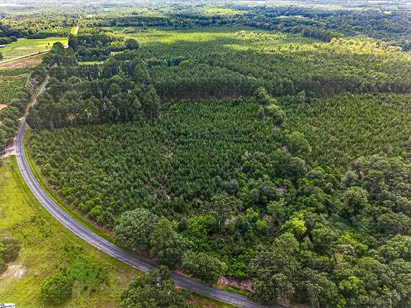 34.5 Acres of Recreational Land for Sale in Swansea, South Carolina