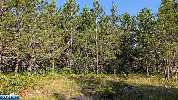 40 Acres of Recreational Land for Sale in Orr, Minnesota