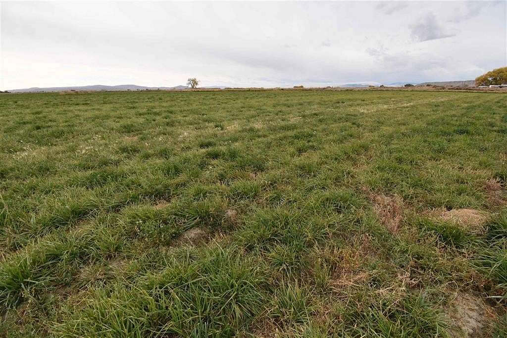 3.5 Acres of Residential Land for Sale in Powell, Wyoming
