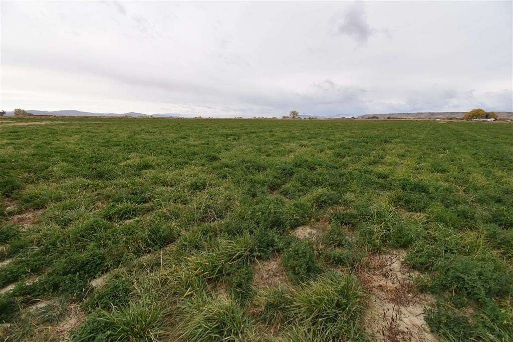 14.9 Acres of Land for Sale in Powell, Wyoming