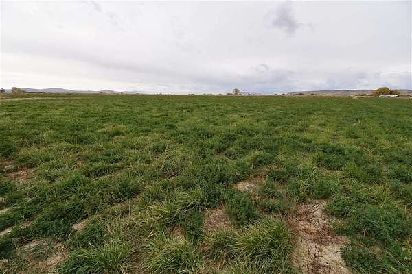 14.9 Acres of Land for Sale in Powell, Wyoming