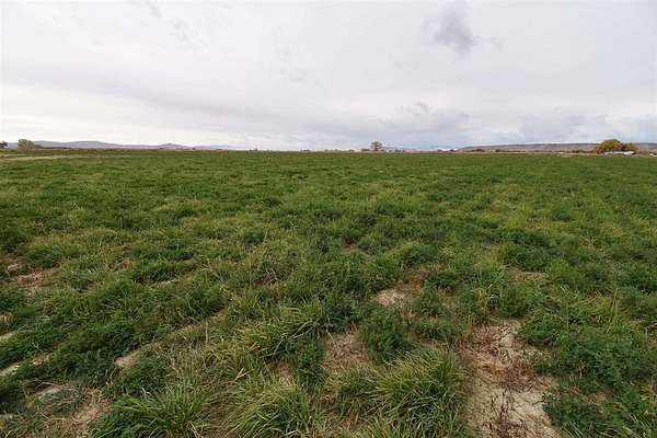 14.9 Acres of Land for Sale in Powell, Wyoming