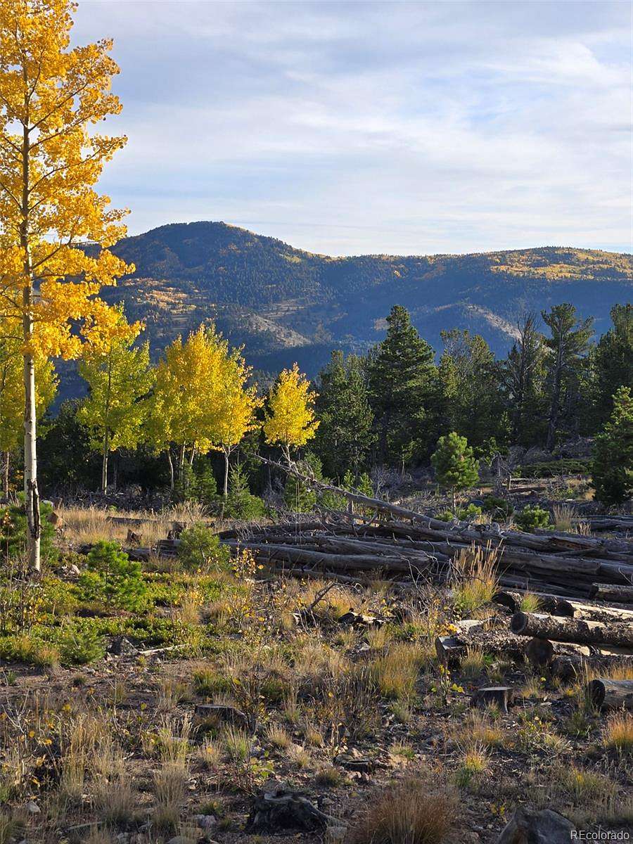 13.4 Acres of Land for Sale in Idaho Springs, Colorado