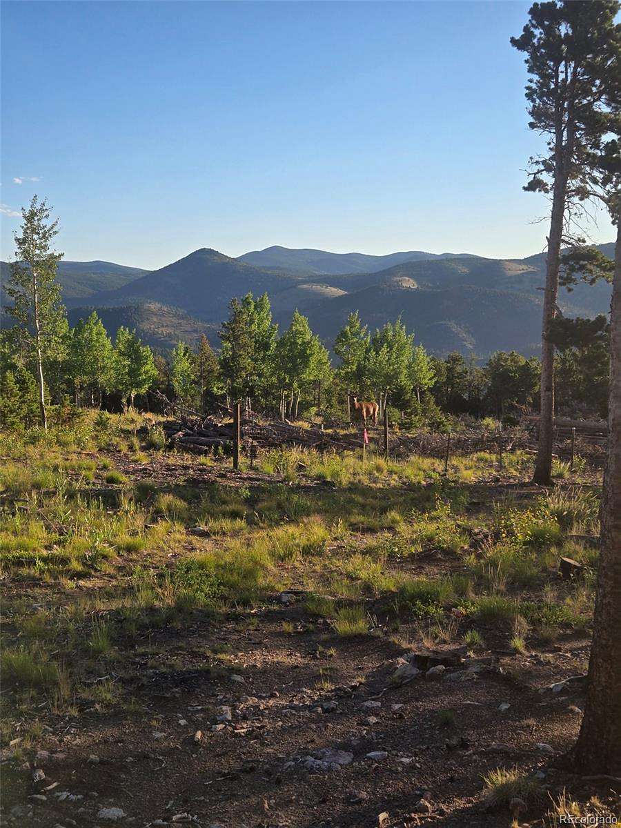 13.4 Acres of Land for Sale in Idaho Springs, Colorado