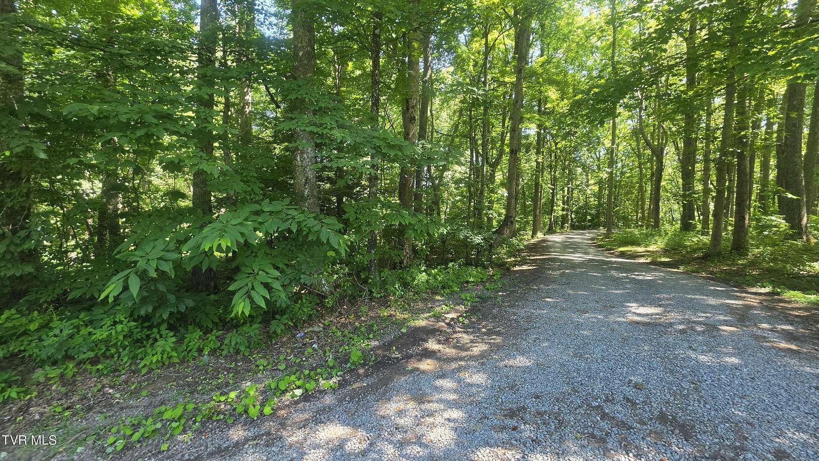 5.58 Acres of Recreational Land for Sale in Coeburn, Virginia