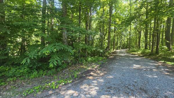 5.58 Acres of Recreational Land for Sale in Coeburn, Virginia