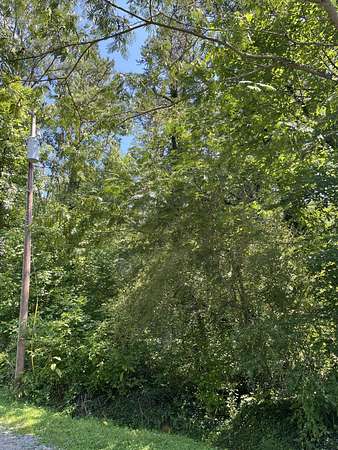 1 Acre of Residential Land for Sale in Trion, Georgia