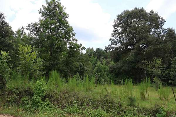 7.39 Acres of Residential Land for Sale in Fountain Hill, Arkansas