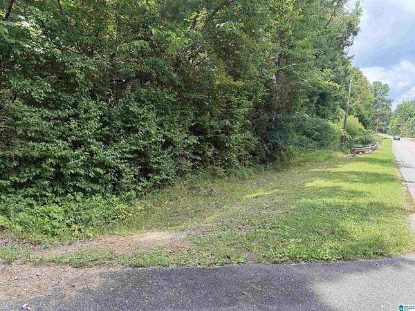 39.4 Acres of Recreational & Residential Land for Sale in Vincent, Alabama