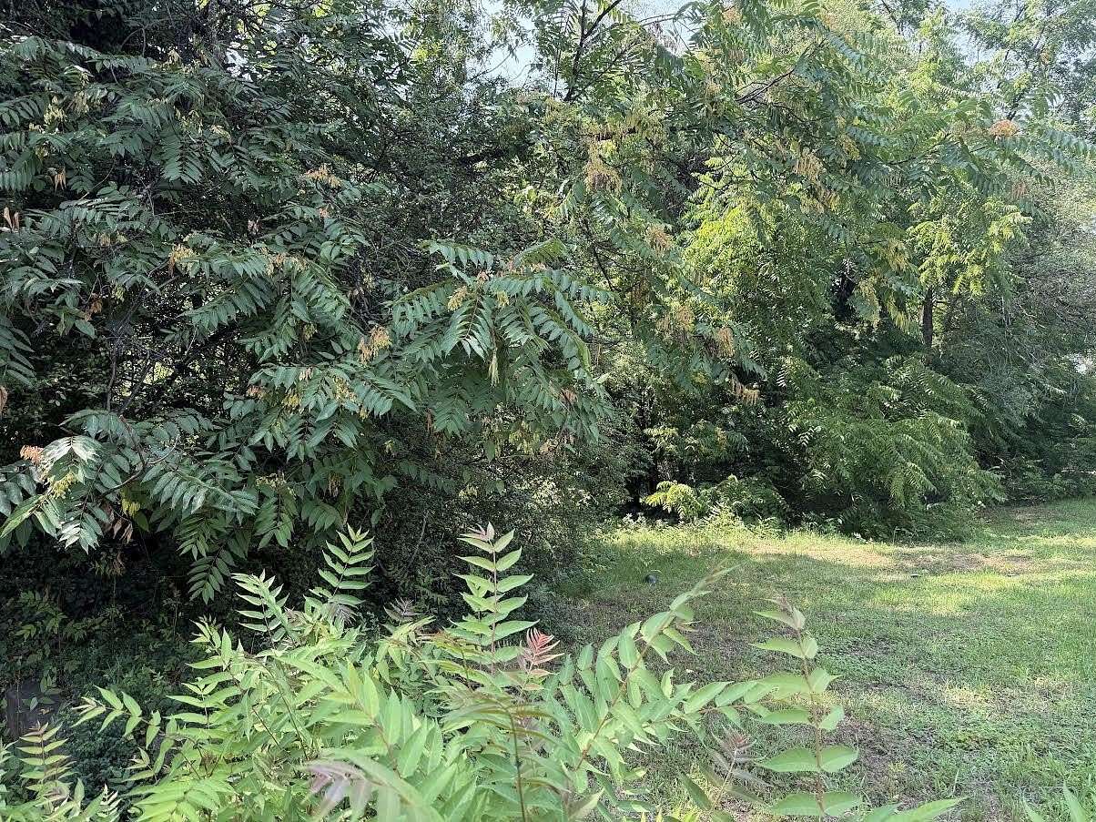 0.15 Acres of Residential Land for Sale in Roanoke, Virginia