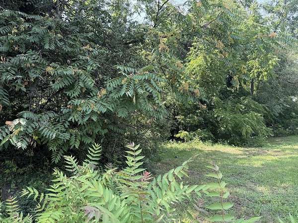 0.15 Acres of Residential Land for Sale in Roanoke, Virginia