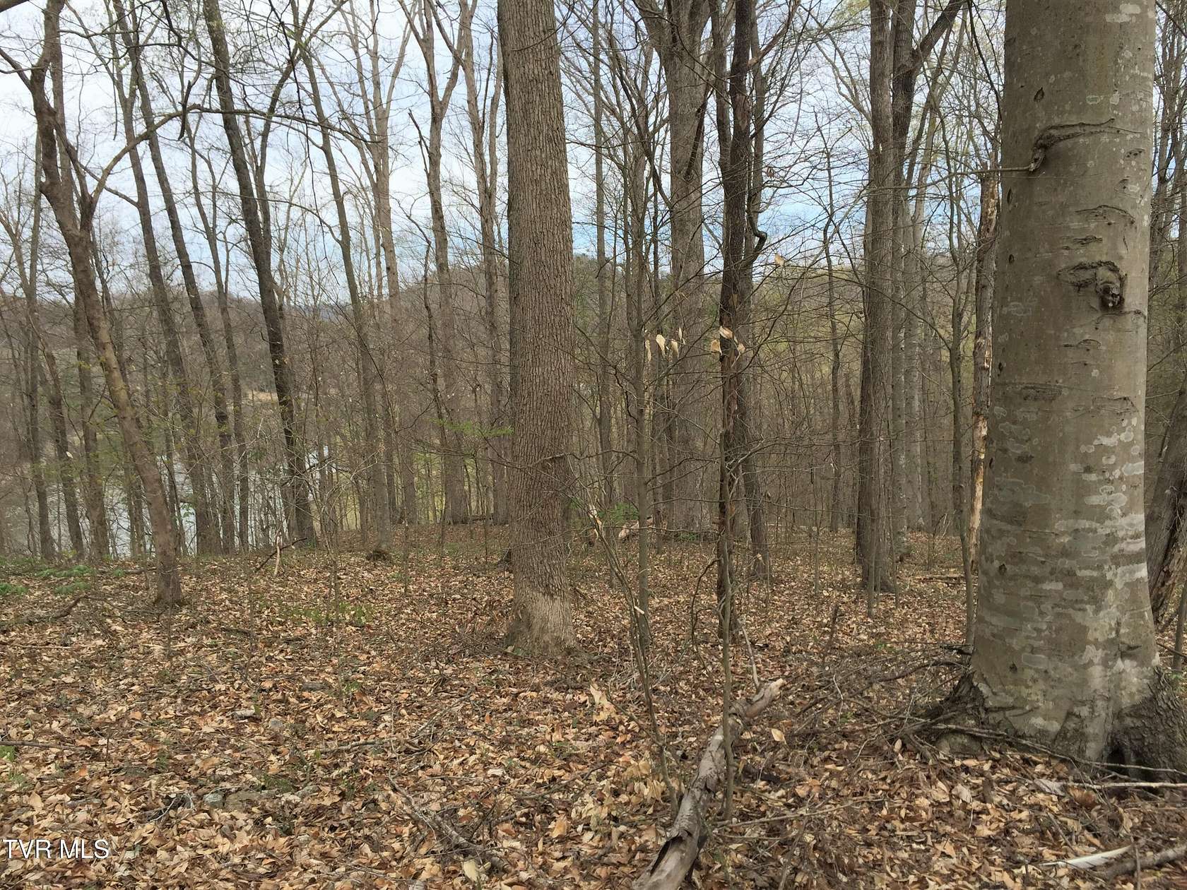 3.32 Acres of Residential Land for Sale in Rogersville, Tennessee