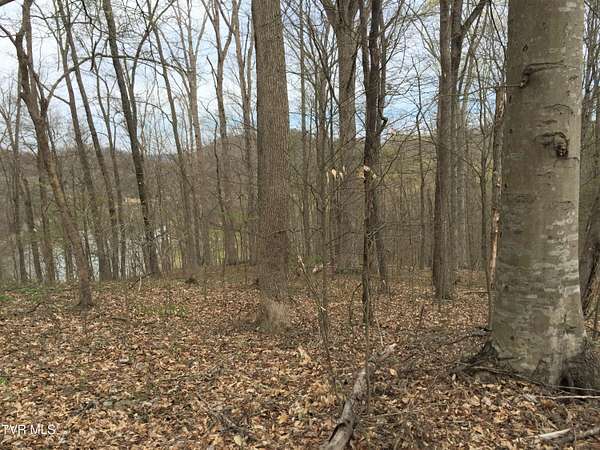 3.32 Acres of Residential Land for Sale in Rogersville, Tennessee