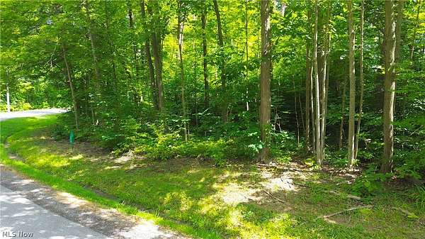 0.8 Acres of Residential Land for Sale in West Salem, Ohio