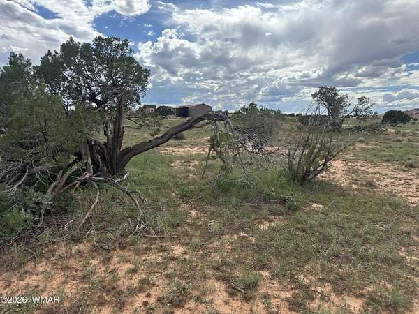 16.3 Acres of Land with Home for Sale in Snowflake, Arizona