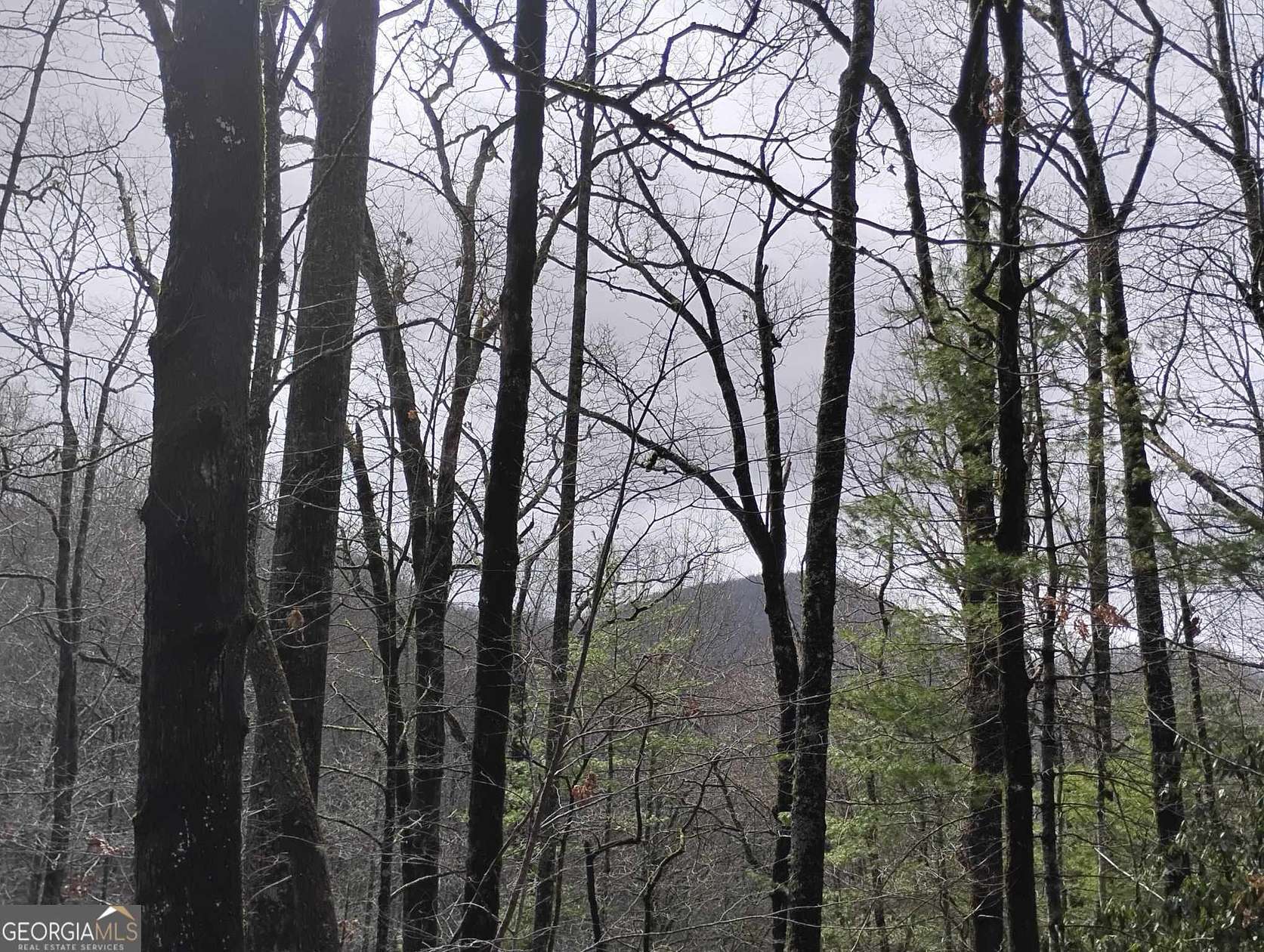 1.25 Acres of Residential Land for Sale in Sky Valley, Georgia