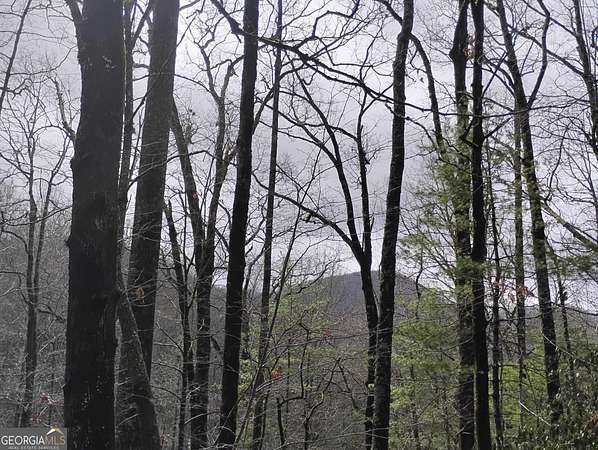 1.25 Acres of Residential Land for Sale in Sky Valley, Georgia