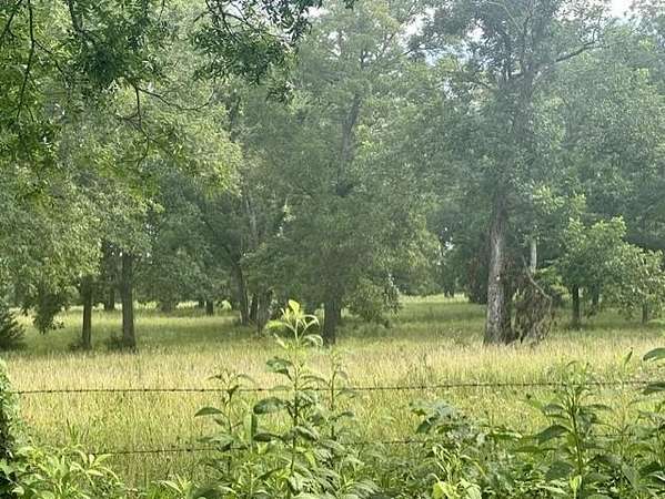 222 Acres of Land for Sale in Moundville, Missouri