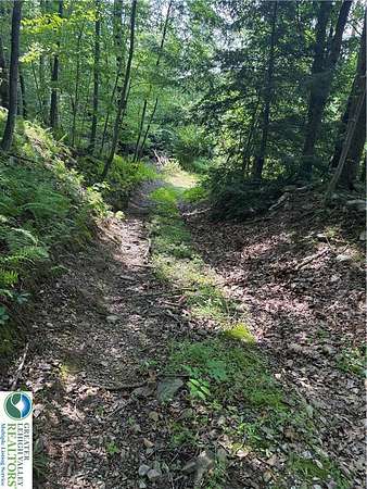 11 Acres of Recreational Land for Sale in Rush Township, Pennsylvania