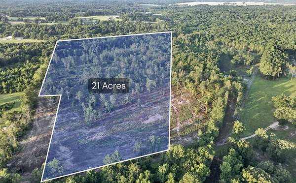 21 Acres of Recreational & Residential Land for Sale in Winona, Texas