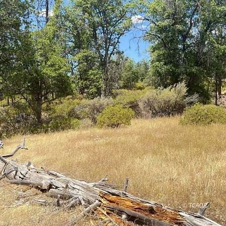 4 Acres of Residential Land for Sale in Hayfork, California