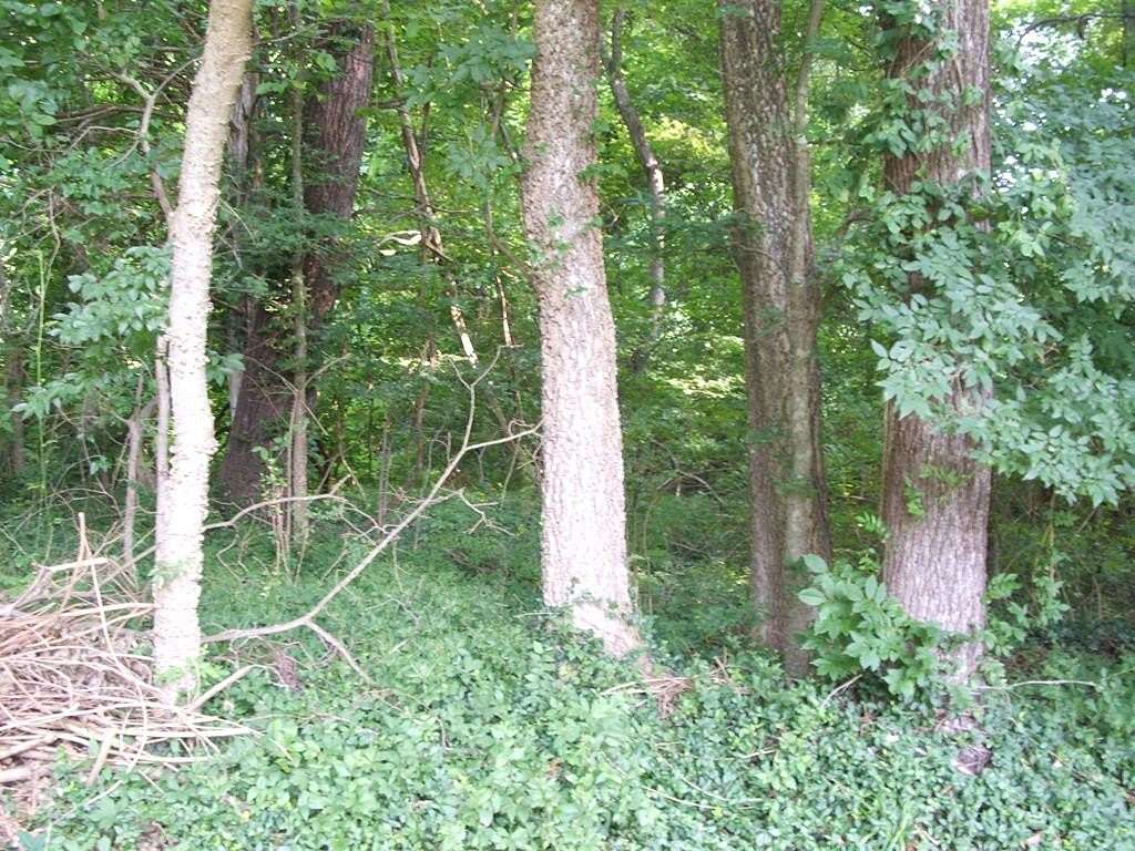 0.83 Acres of Residential Land for Sale in Drakes Branch, Virginia