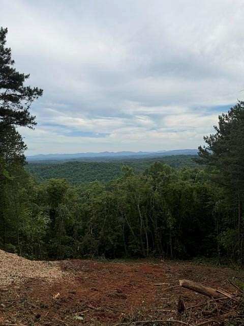 1 Acre of Residential Land for Sale in Blue Ridge, Georgia