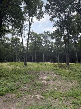 0.95 Acres of Residential Land for Sale in Whitehall, Michigan