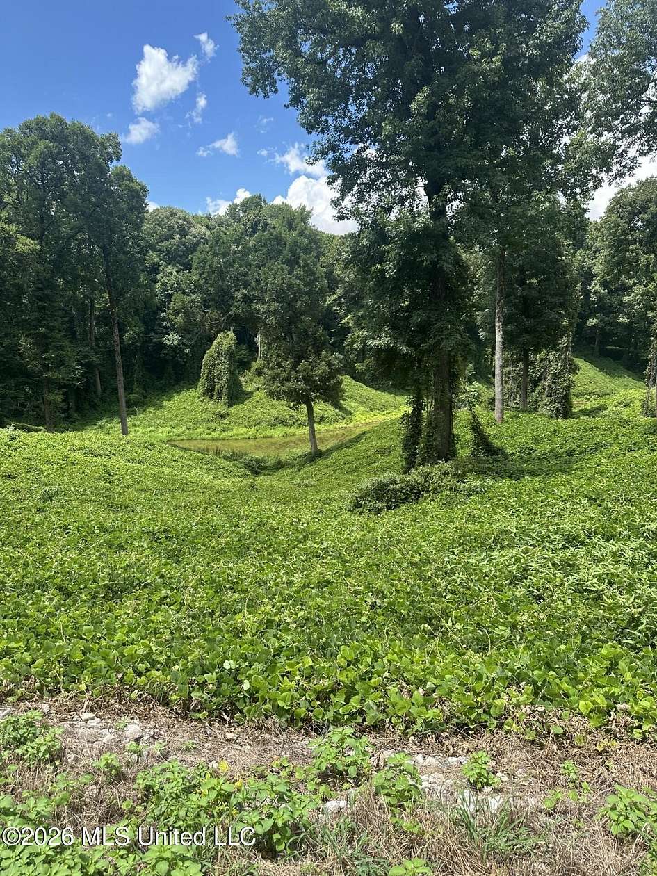 1 Acre of Residential Land for Sale in Hernando, Mississippi