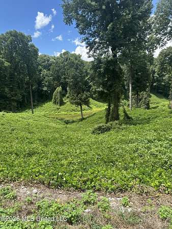 1 Acre of Residential Land for Sale in Hernando, Mississippi
