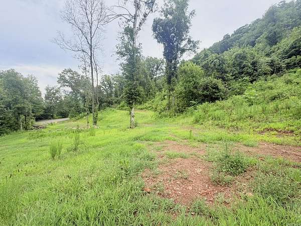12.3 Acres of Land for Sale in Heber Springs, Arkansas
