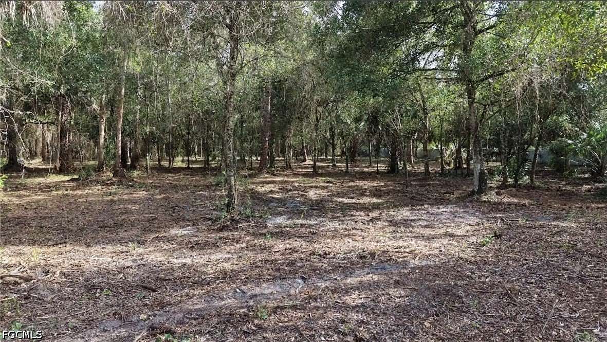 1 Acre of Residential Land for Sale in Clewiston, Florida