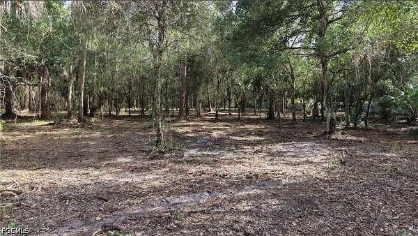 1 Acre of Residential Land for Sale in Clewiston, Florida