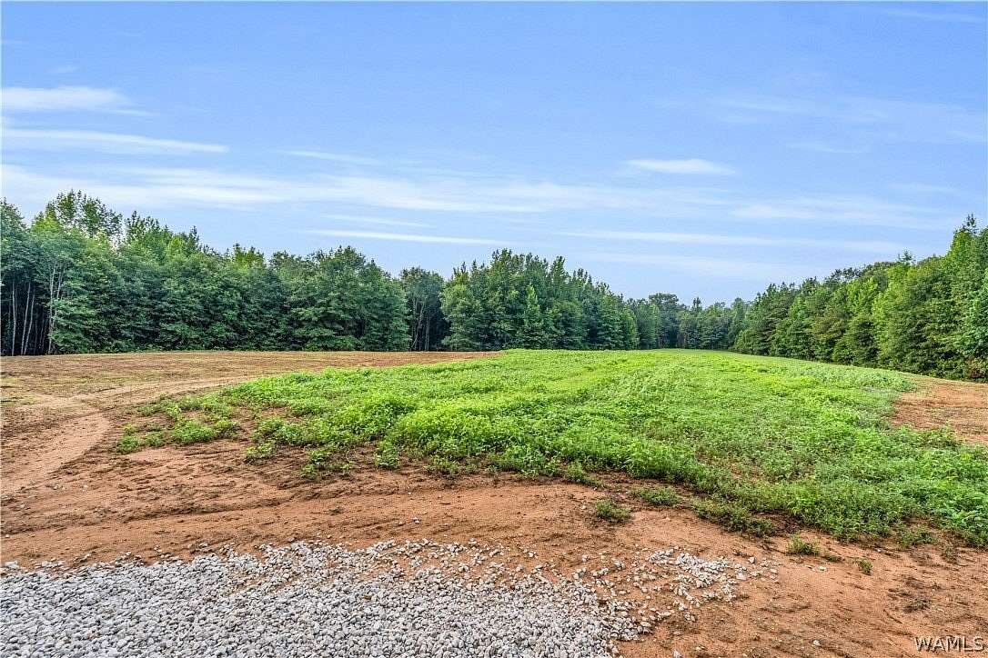 115 Acres of Recreational & Residential Land for Sale in Fayette, Alabama