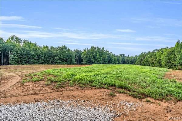 115 Acres of Recreational & Residential Land for Sale in Fayette, Alabama