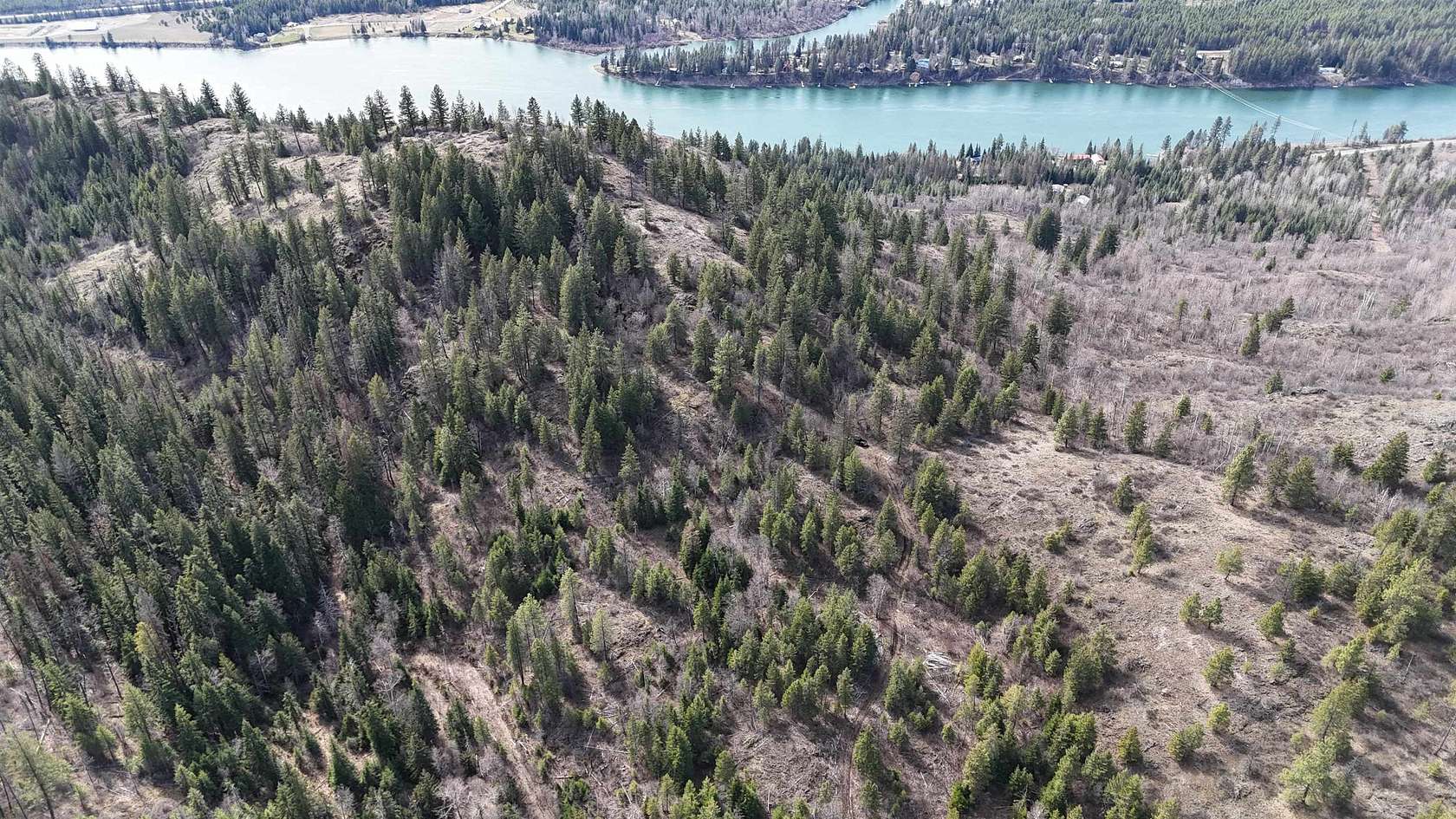 11.6 Acres of Recreational Land for Sale in Ione, Washington