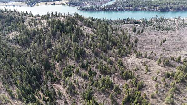 11.6 Acres of Recreational Land for Sale in Ione, Washington