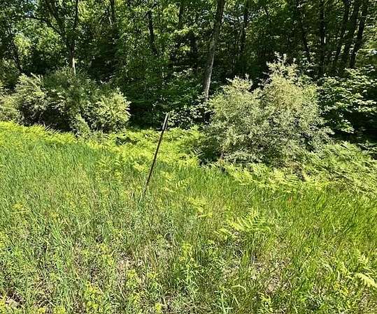 2.1 Acres of Residential Land for Sale in Big Rapids, Michigan