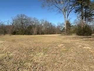 2 Acres of Mixed-Use Land for Sale in Van, Texas