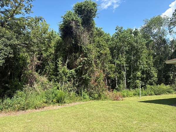 2.4 Acres of Residential Land for Sale in Douglas, Georgia