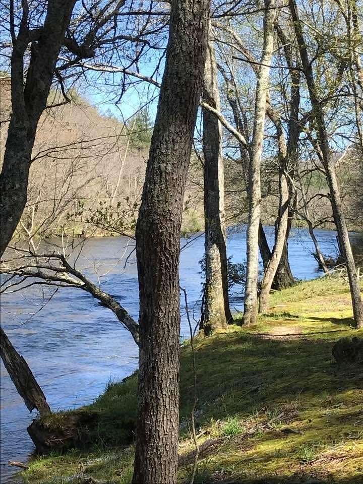 1 Acre of Residential Land for Sale in Hayesville, North Carolina