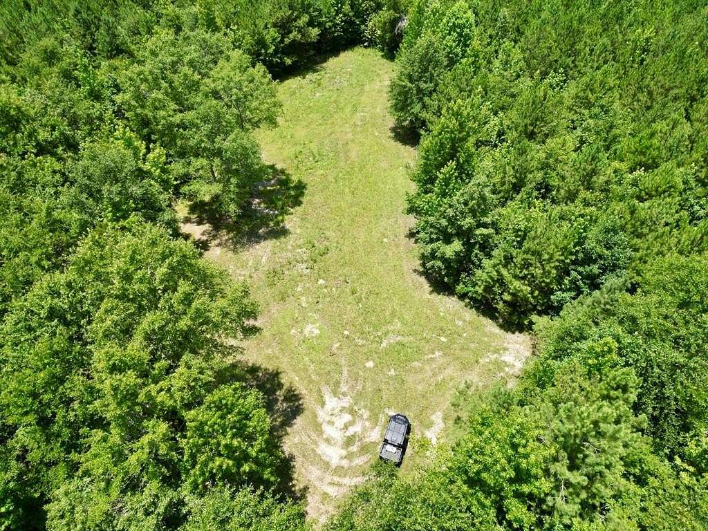 146 Acres of Recreational Land for Sale in Georgiana, Alabama