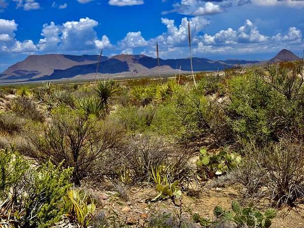 20 Acres of Recreational Land for Sale in Terlingua, Texas
