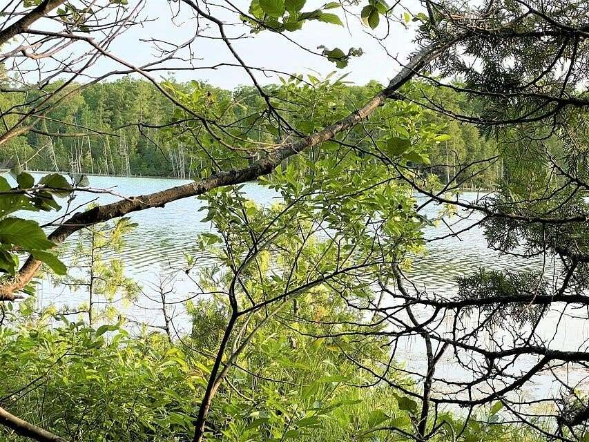 Residential Land for Sale in Cheboygan, Michigan