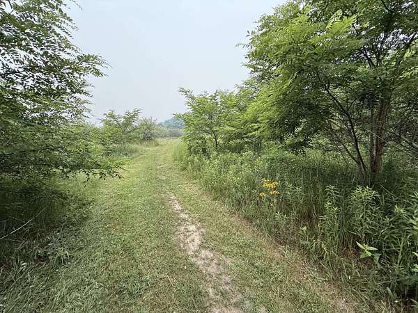 20 Acres of Recreational & Residential Land for Sale in Alger, Michigan