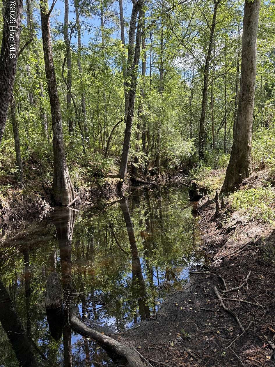 1 Acre of Residential Land for Sale in Elizabethtown, North Carolina