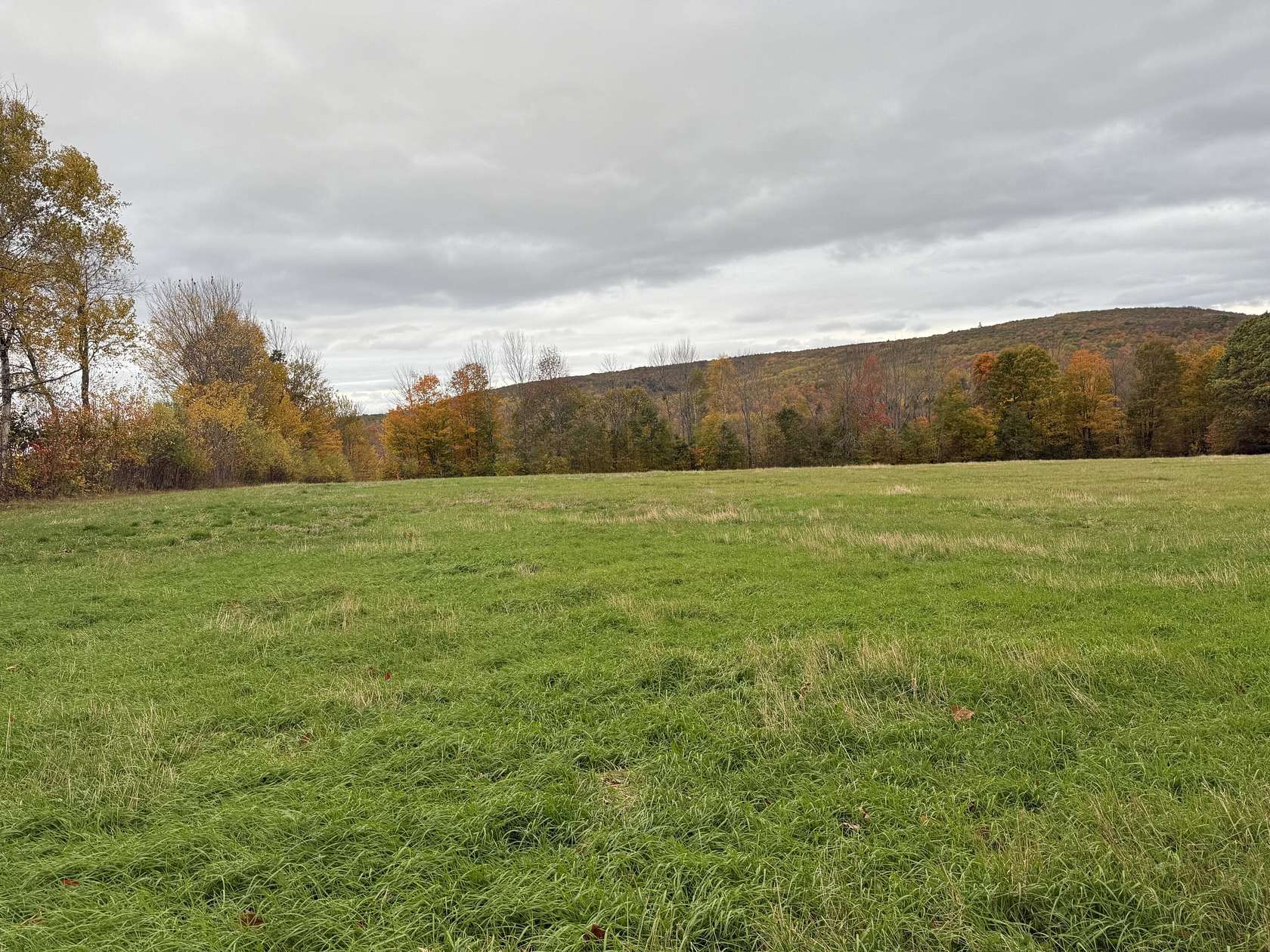 118 Acres of Land for Sale in Saint Albans, Maine