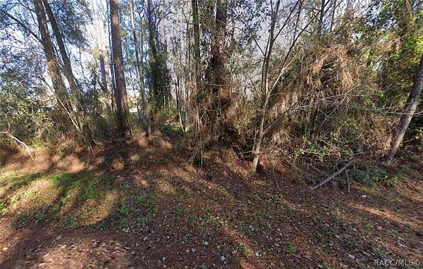 0.62 Acres of Residential Land for Sale in Satsuma, Florida
