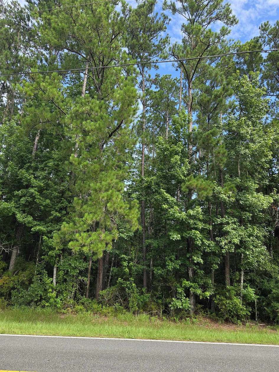 2.3 Acres of Residential Land for Sale in Bristol, Florida